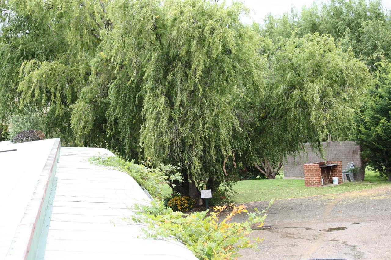 Omeo Motel Kültér fotó